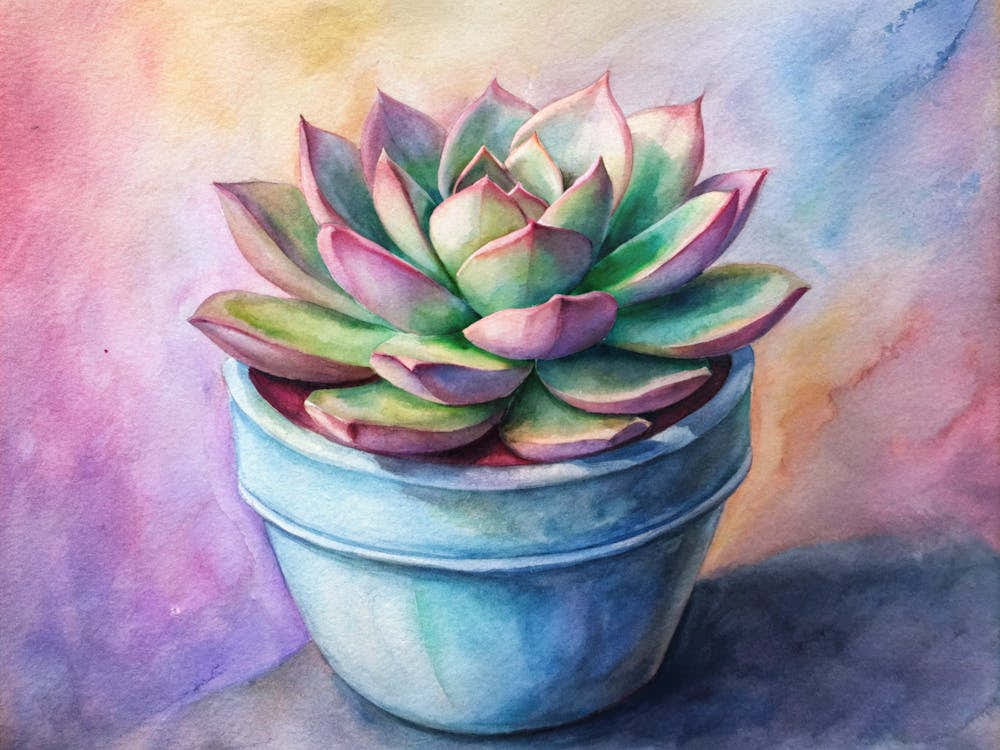 Succulent Painting