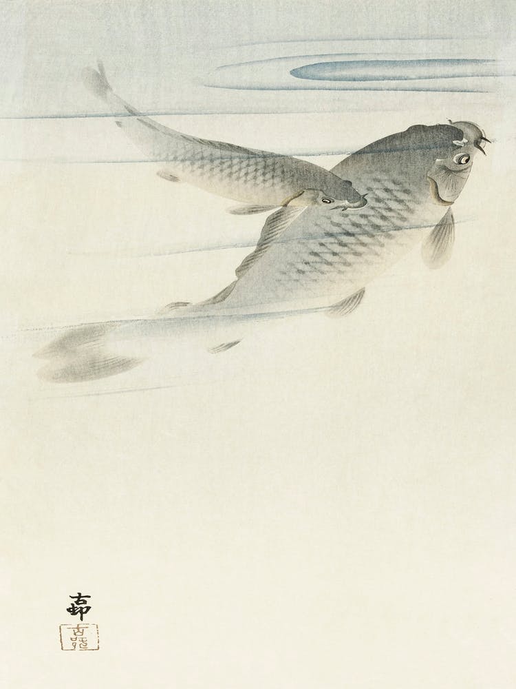 Carp (1900 1936), Ohara Koson
