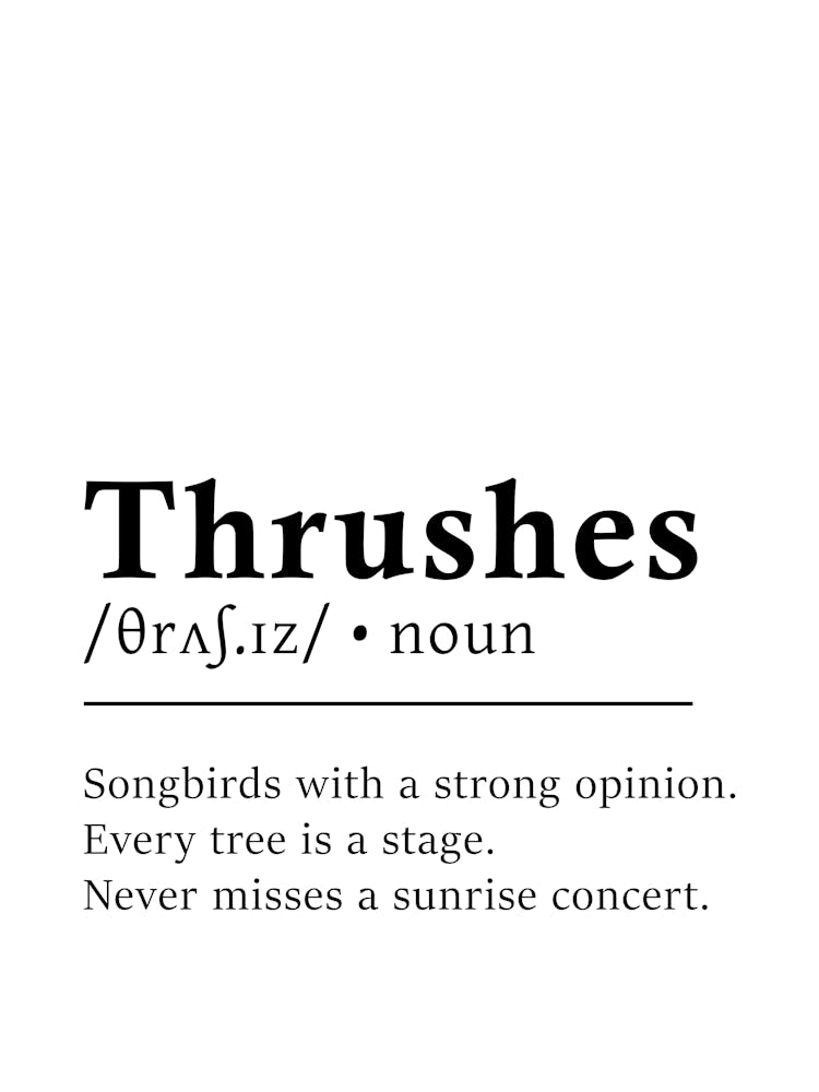 Thrushes Definition Poster - Dictionary
