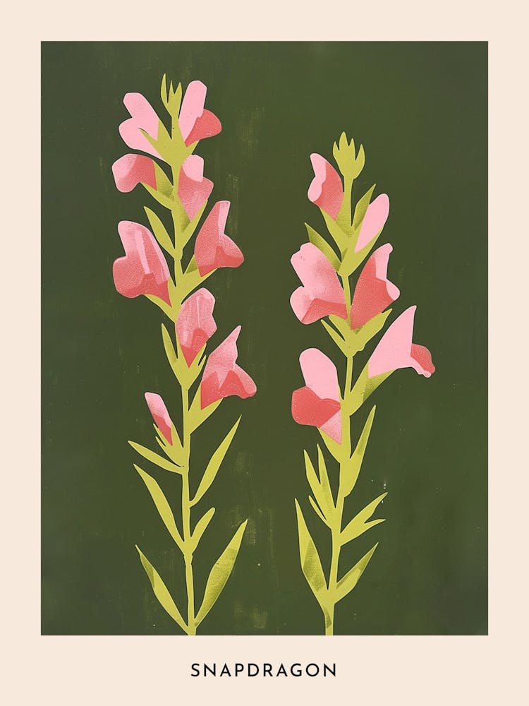 Pink & Green Snapdragon 2 Flower Poster