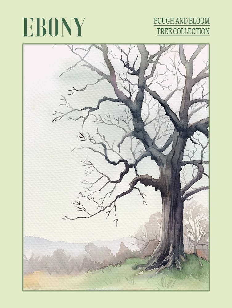 Ebony Tree Atmospheric Watercolour Painting 4 Poster