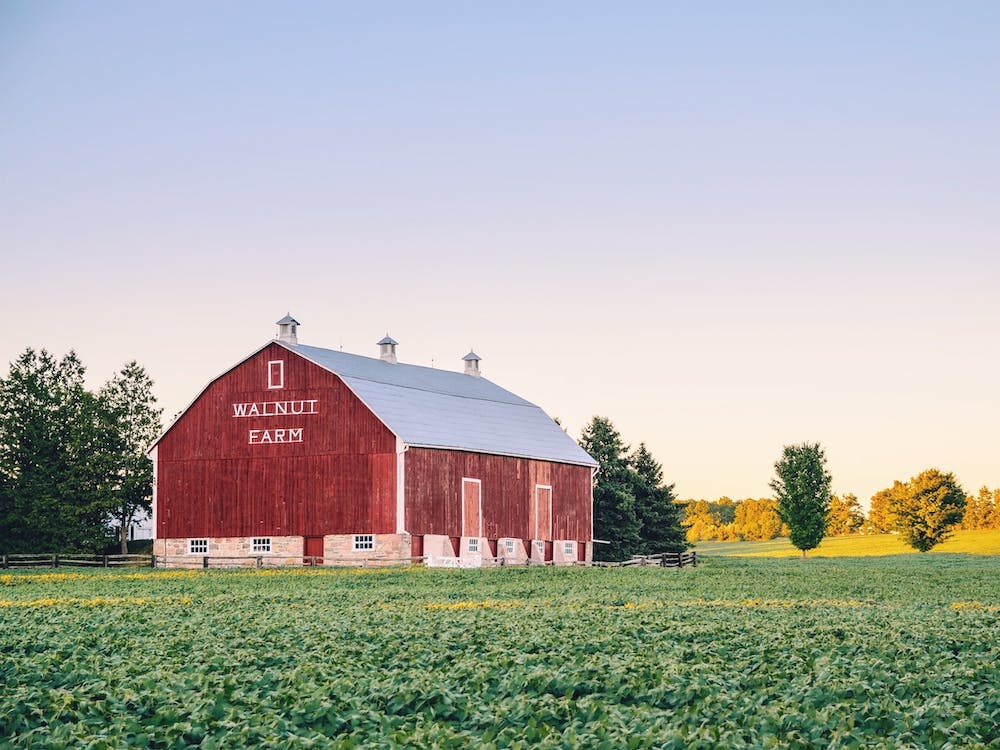 Walnut Farm Barn