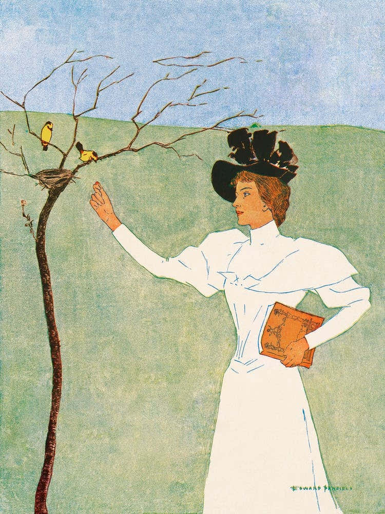 Woman Reaching For Birds (1894), Edward Penfield