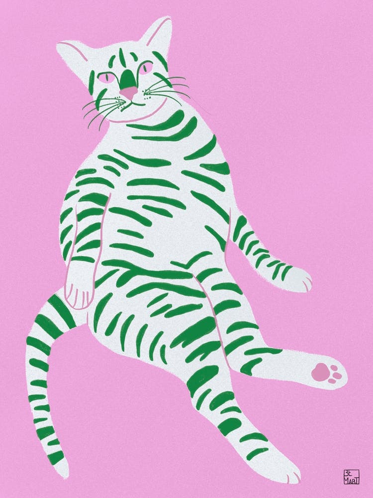 Lazy Cat