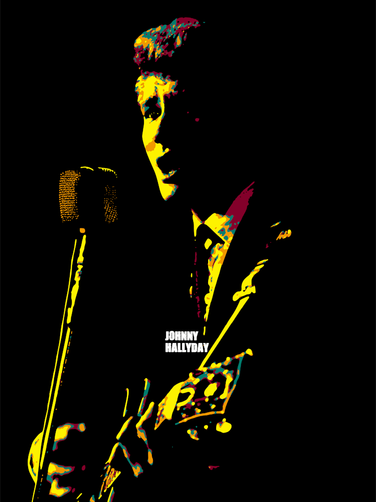 Johnny Hallyday Musician Legend