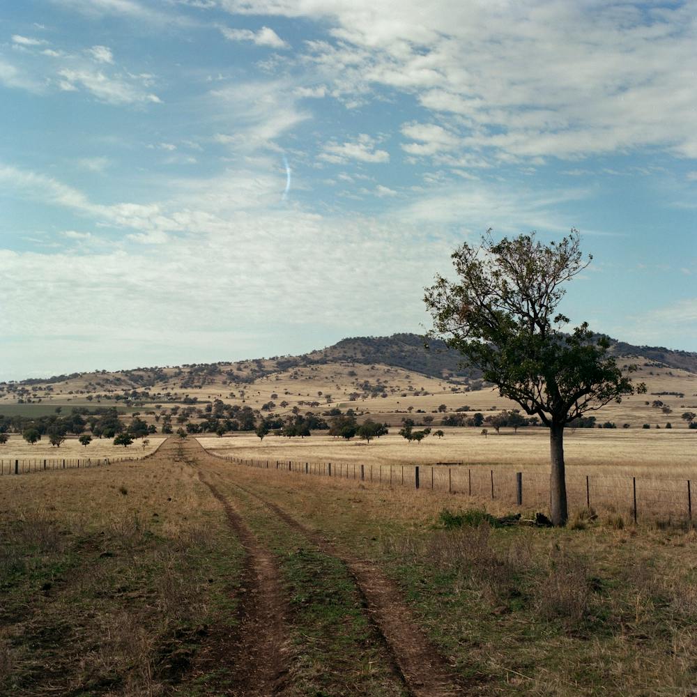 Farm 024