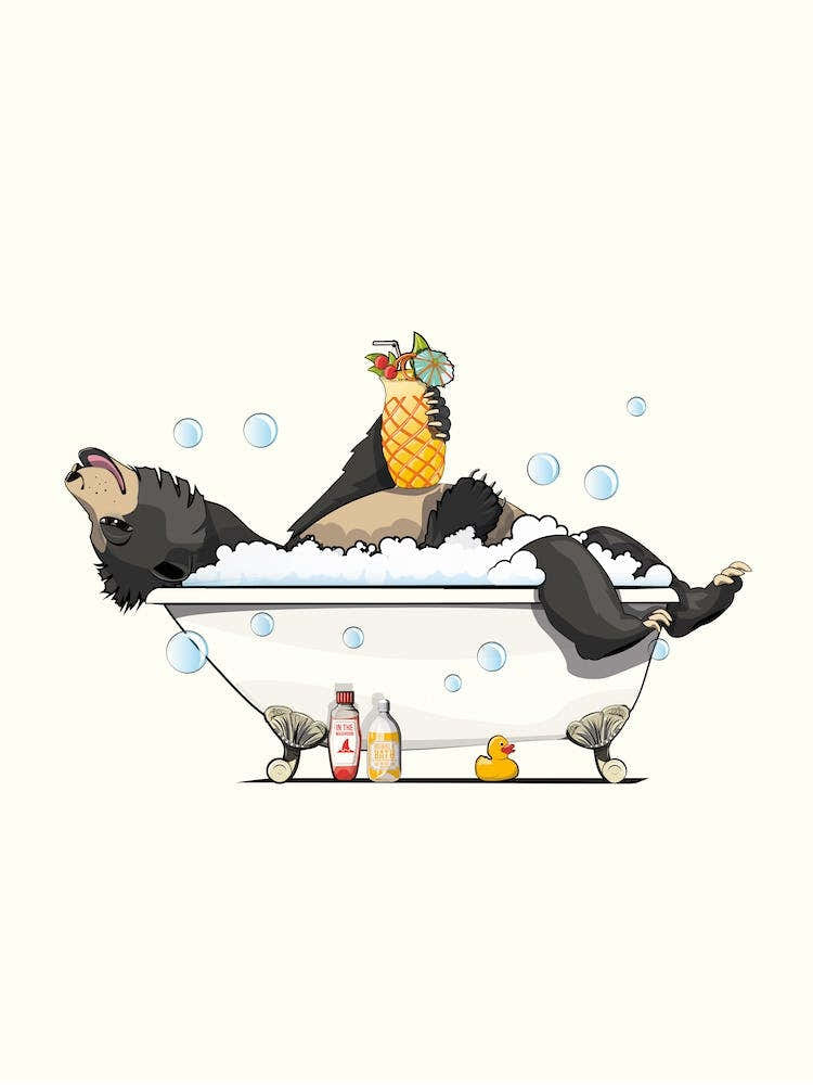 Sloth Bear In The Bath