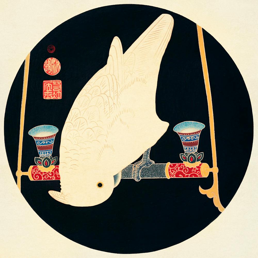 A White Macaw (1900), Itō Jakuchū