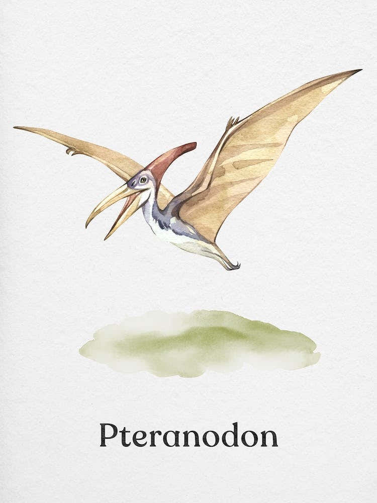 Pteranodon