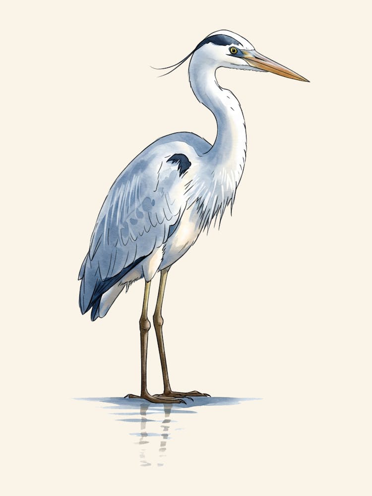 Vintage Lone Heron