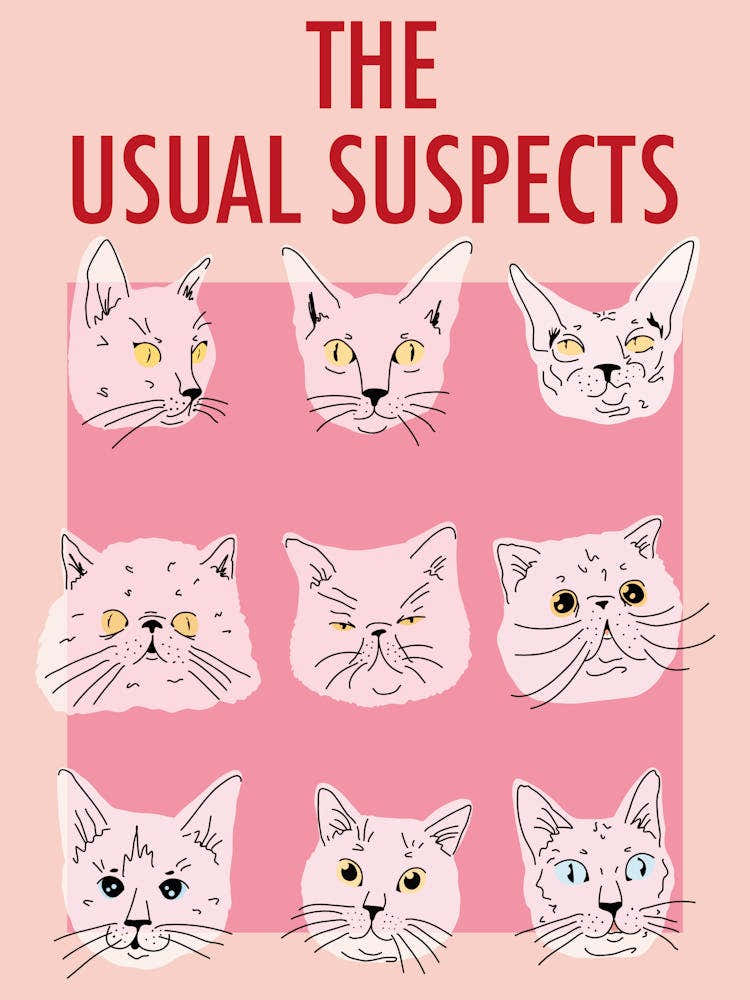 Usual Suspects - Cat Poster