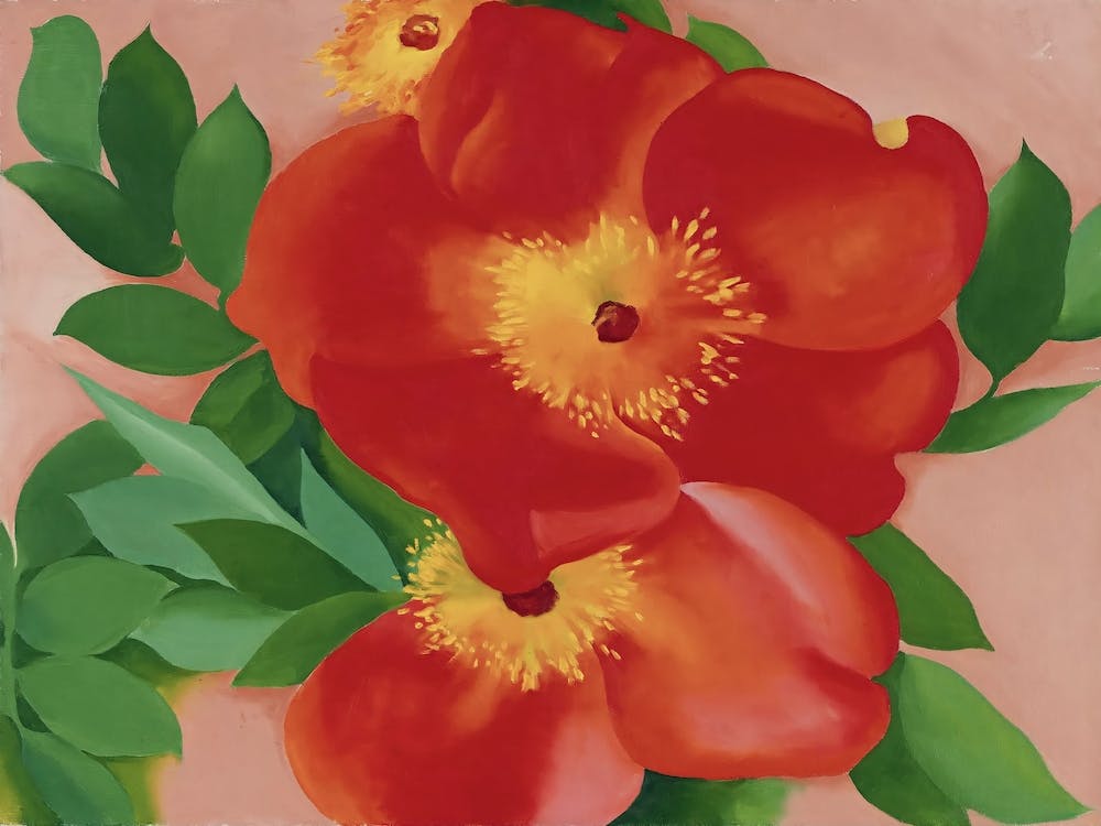 Georgia O'Keeffe - Two Austrian Copper Roses III, 1957