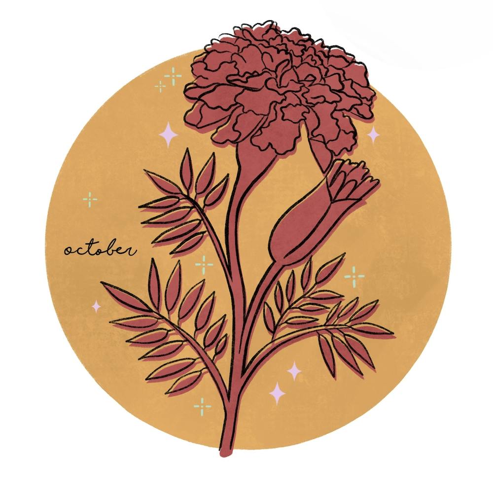 October Birth Flower