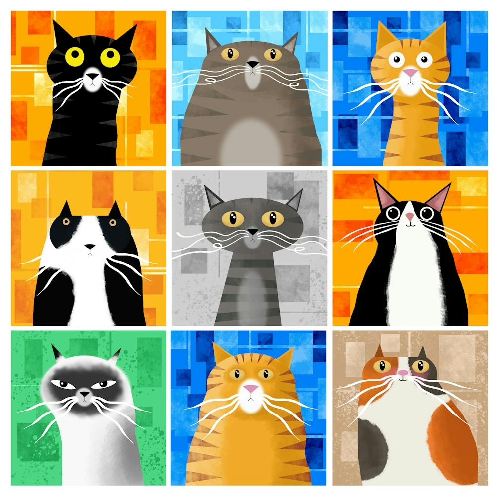 The Nine Lives of Cats