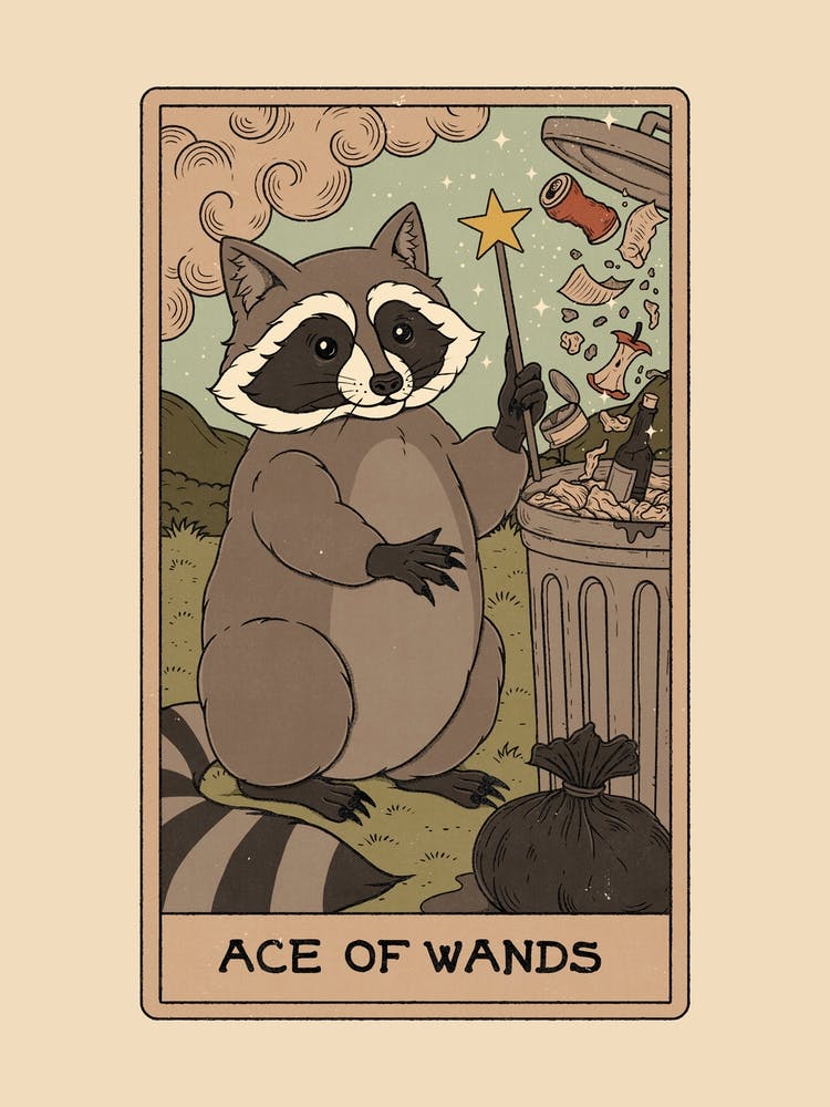 Ace Of Wands - Raccoons Tarot