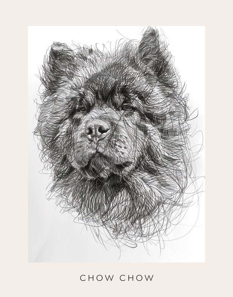 Chow Chow Dog Line Sketch 2 Poster