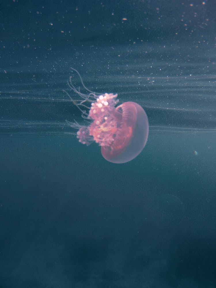 Dancing In The Water