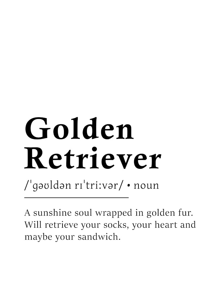 Golden Retriever Definition Poster - Dictionary