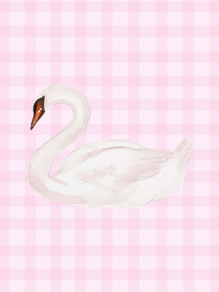 Swan Pink Gingham Poster