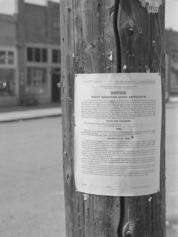 Sign Concerning Wheat Quotas Referendum,Genesee, Idaho By Russell Lee