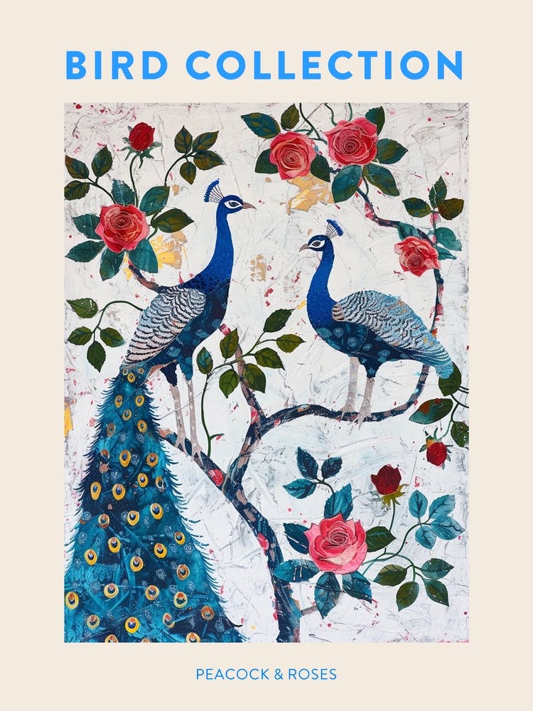 Peacock With The Roses Painting 4 Poster