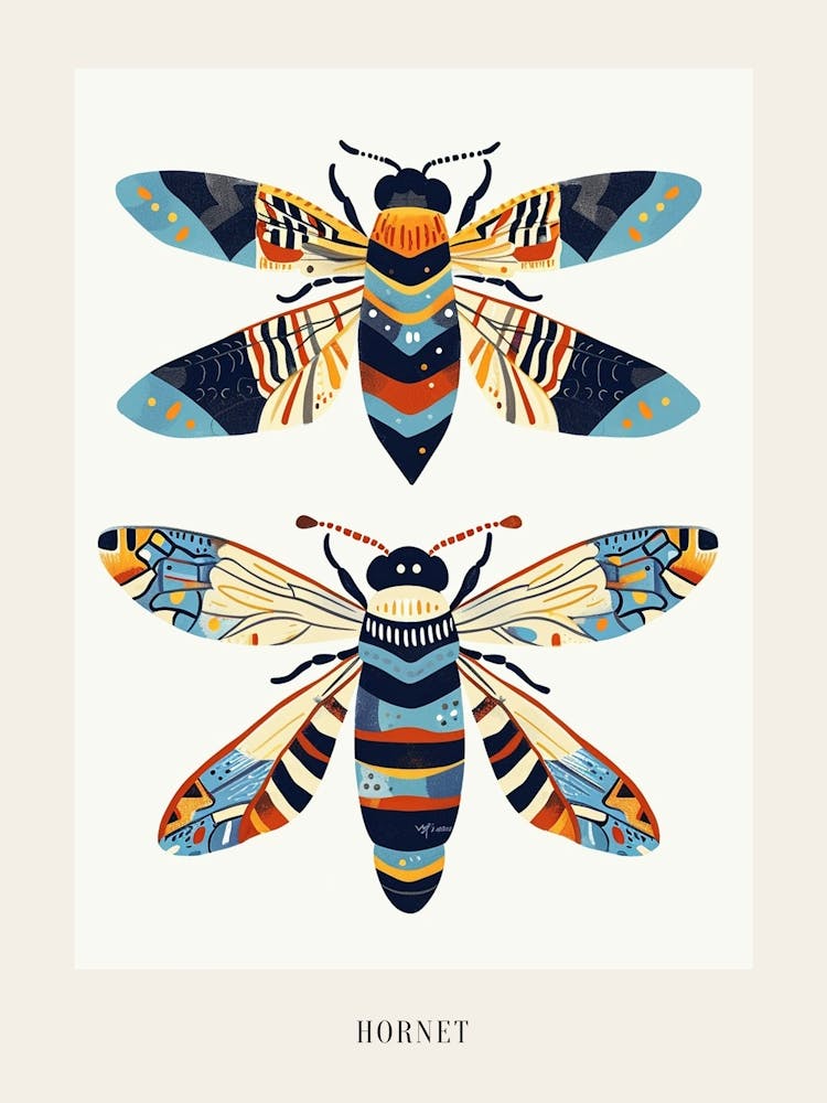 Colourful Insect Illustration Hornet 5 Poster