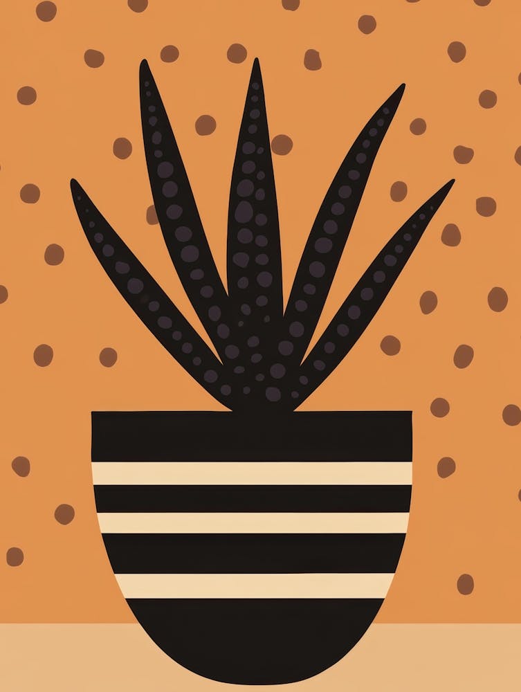 Polka Dot Plant