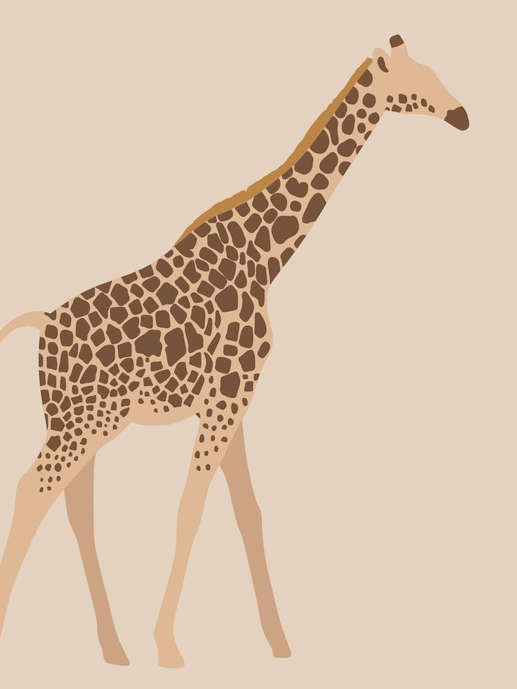 Giraffe Jungle Safari