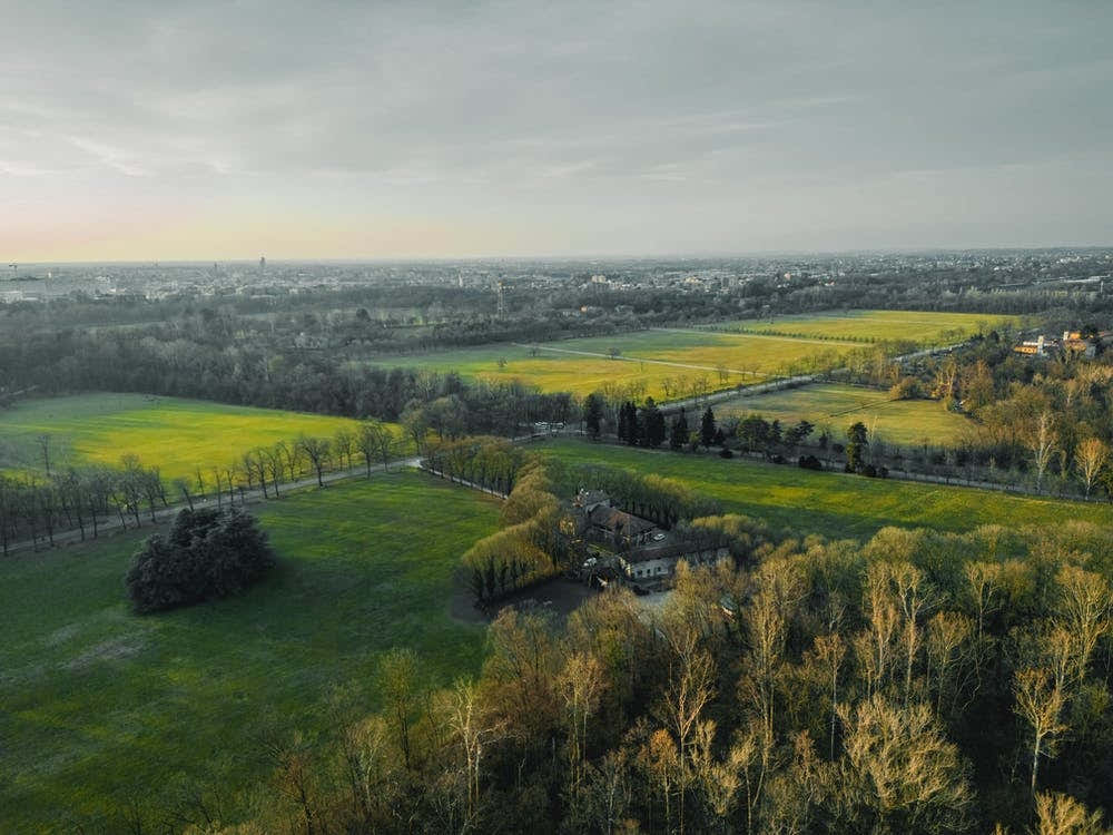 Italy Walls, Villa Reale Parco di Monza, Italia, Arte murale italiana, Poster italiano.