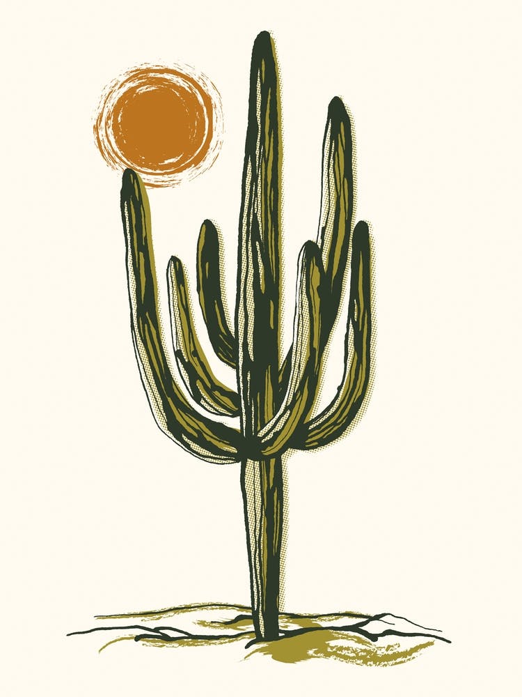 Cactus Sunset