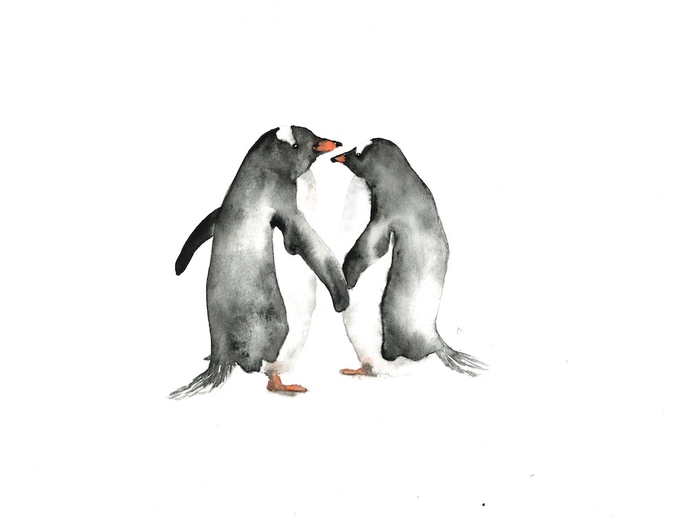 Penguin Love