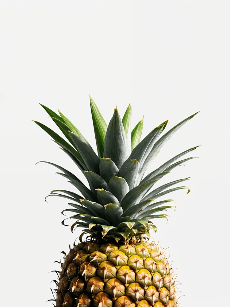Pineapple 1