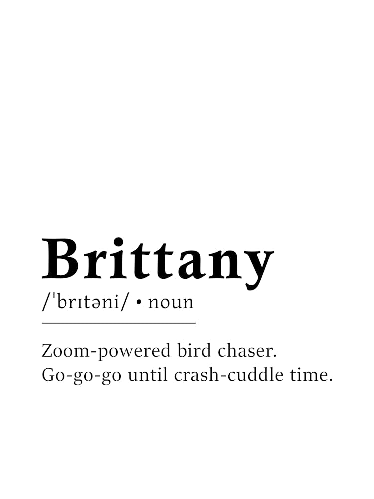 Brittany Definition Poster - Dictionary
