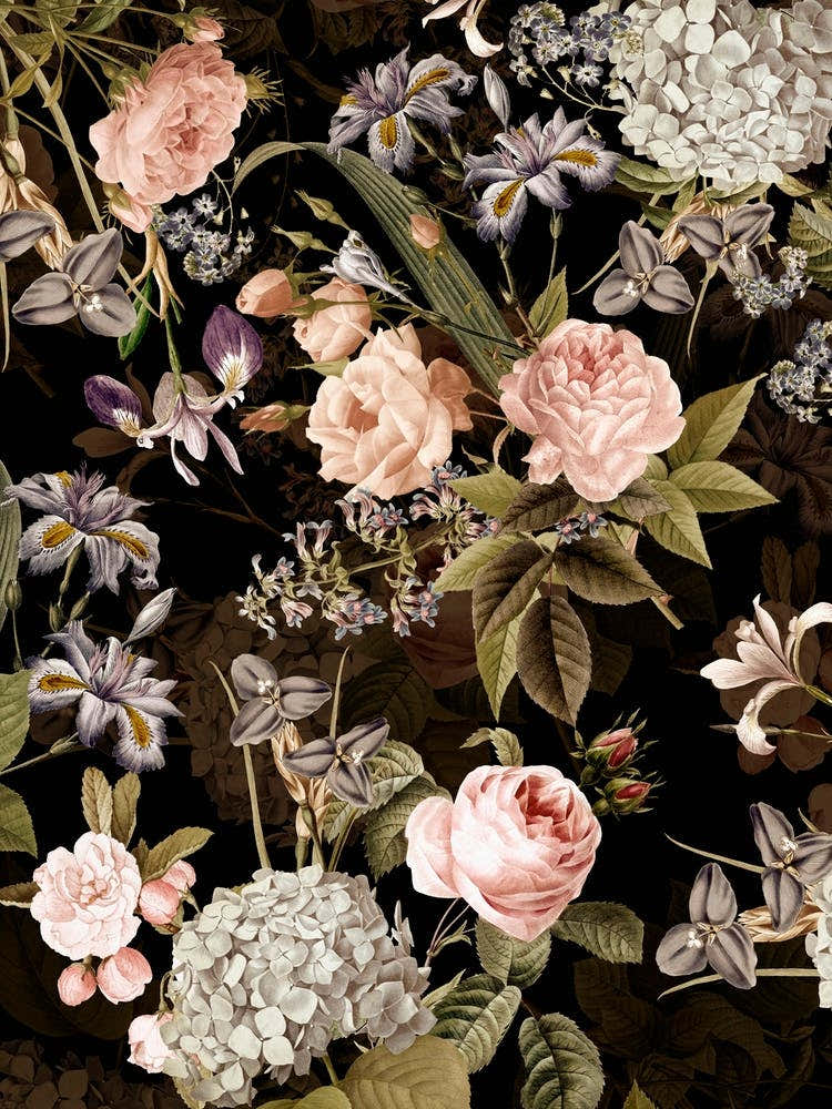 Redoute Roses Night Garden