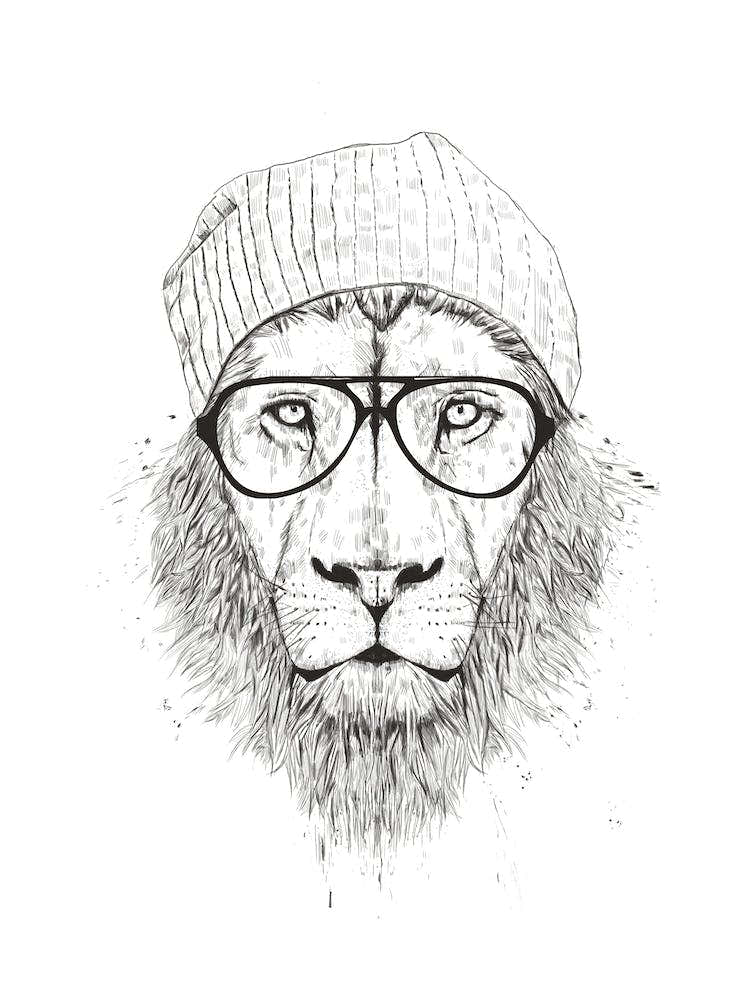 Cool Lion