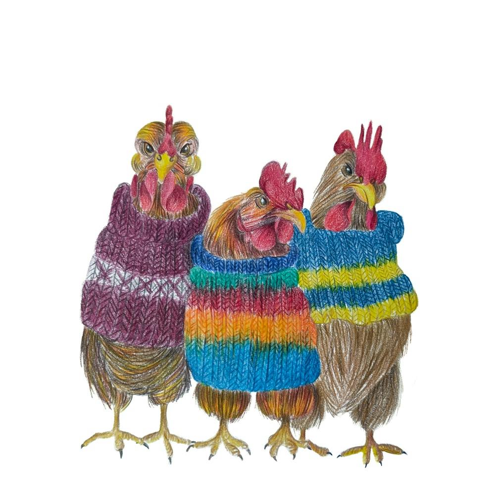 3 hens wearing knitted jumpers
