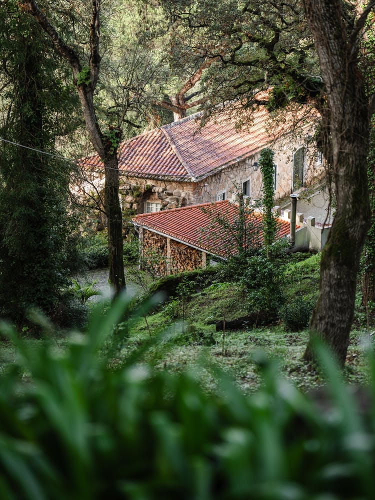 Rural Tranquility Sintra Forest Farmhouse