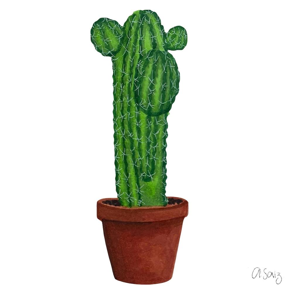 Cactus
