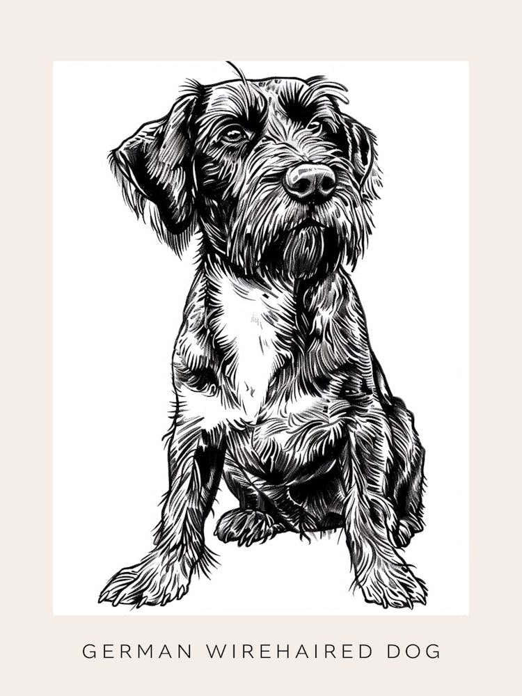 German Wirehaired Dog Line Sketch 2 Poster