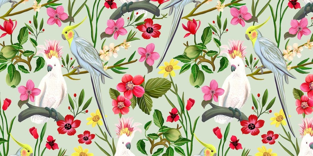 Parakeet And Cockatoo Garden