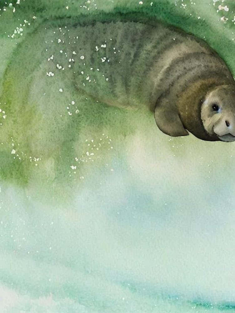 Manatee Storybook Watercolour