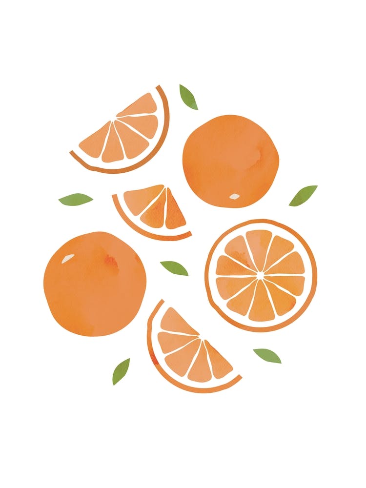 Orange Fruit Colourful Kitchen Art Nursery Wall