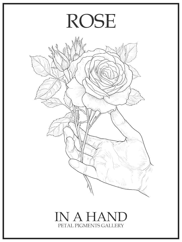 Rose In A Hand Line Drawing 4 Poster