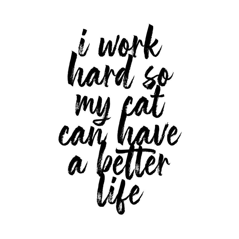 I Work Hard So My Cat Can Have A Better Life Script Square