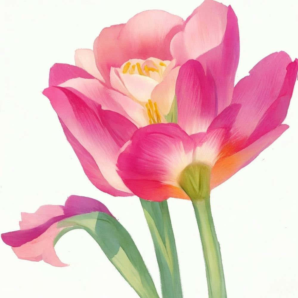 Tulip Rose Painted In Watercolor 1 1