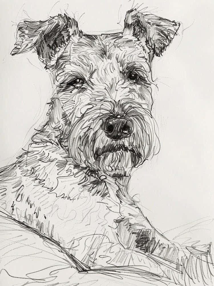 Fox Terrier Dog Line Sketch 1