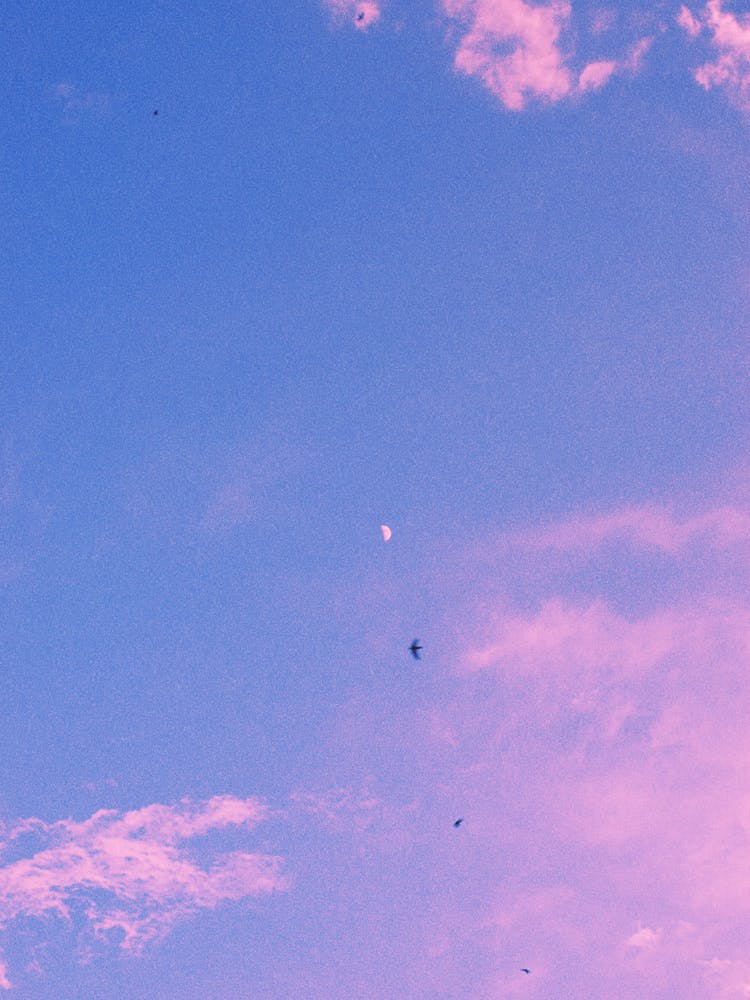 And the moon