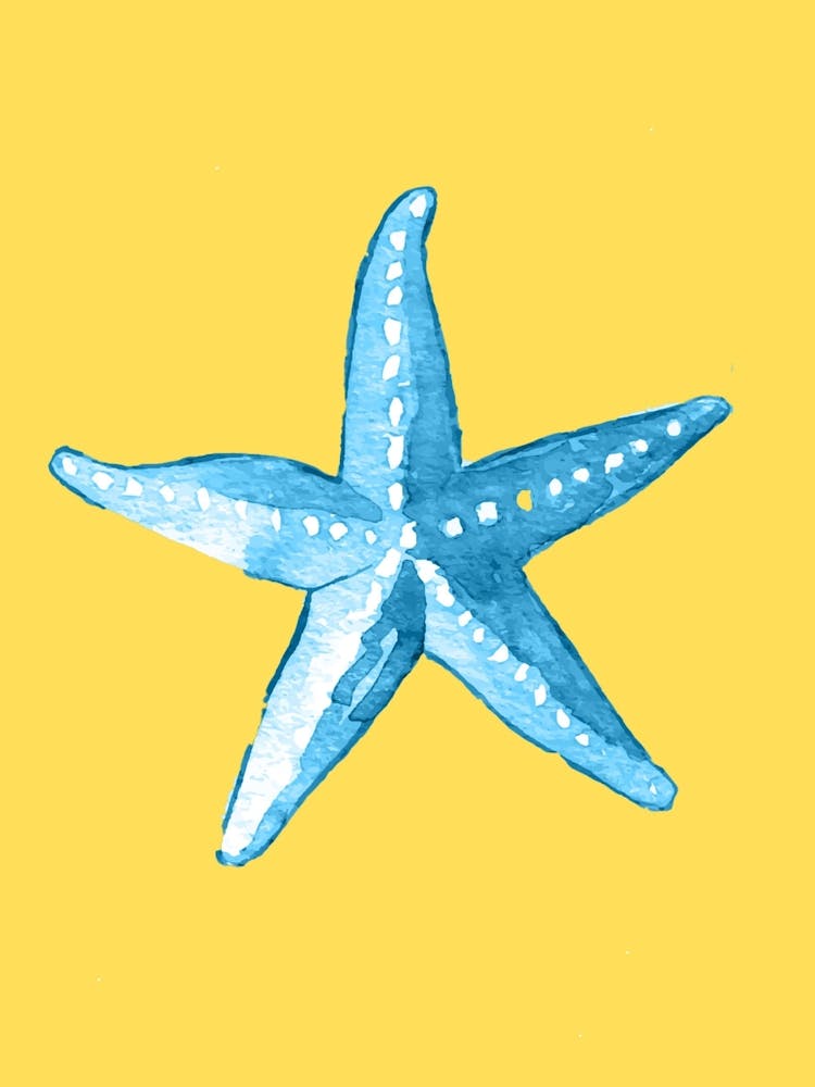 Starfish 2