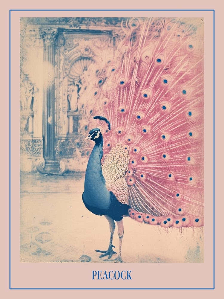 Peacock In A Palace Cyanotype Inspired 3 Poster