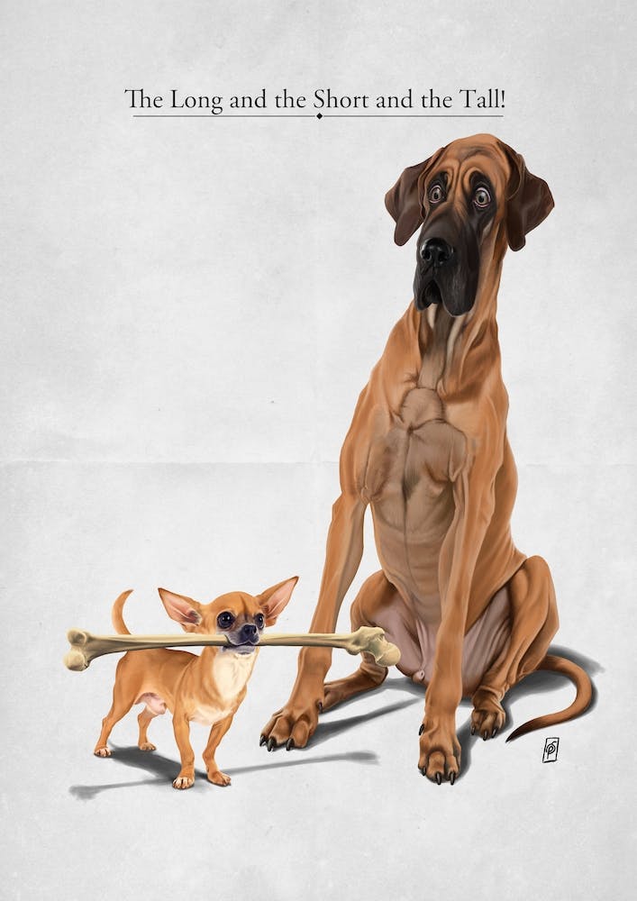 The Long and the Short and the Tall